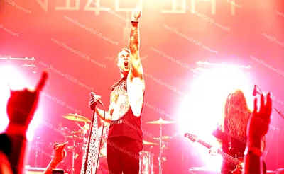 The Used